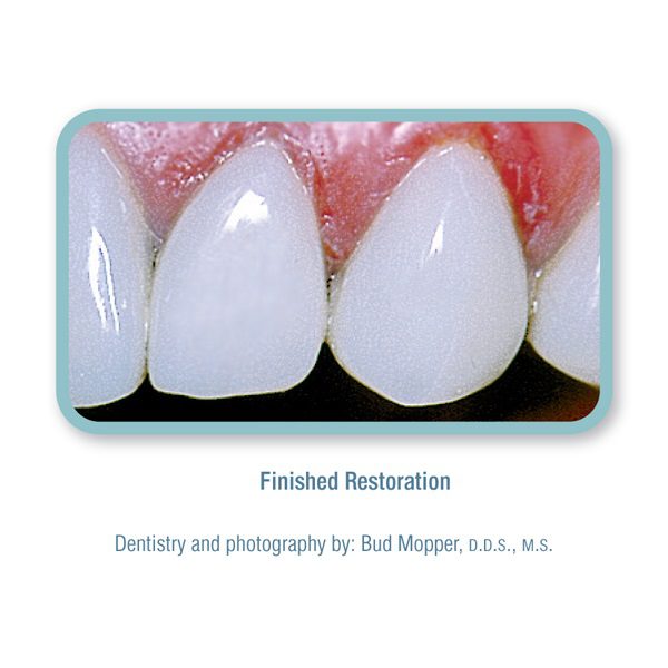 Creative Color Pink Opaque