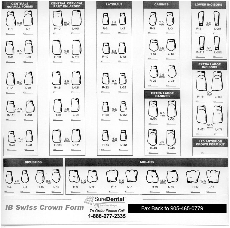 FullForm™ Transparent Peel Off Crown Forms